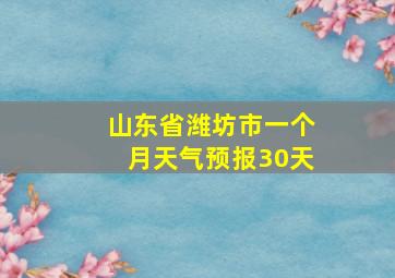 山东省潍坊市一个月天气预报30天