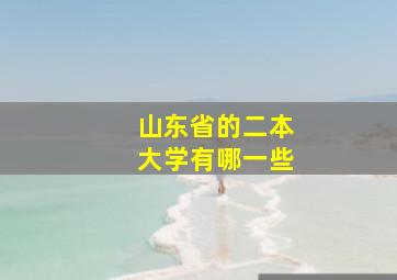 山东省的二本大学有哪一些