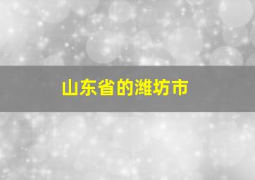 山东省的潍坊市