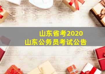 山东省考2020山东公务员考试公告