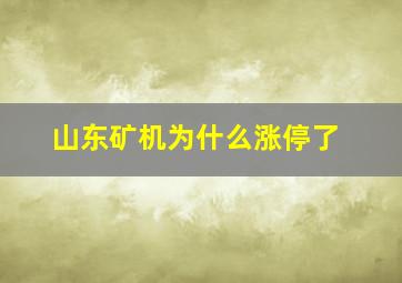 山东矿机为什么涨停了