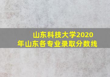 山东科技大学2020年山东各专业录取分数线