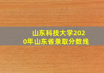 山东科技大学2020年山东省录取分数线