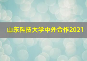 山东科技大学中外合作2021