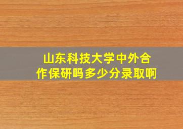 山东科技大学中外合作保研吗多少分录取啊