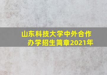 山东科技大学中外合作办学招生简章2021年