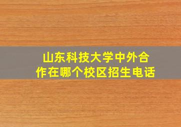 山东科技大学中外合作在哪个校区招生电话