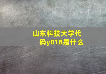 山东科技大学代码y018是什么