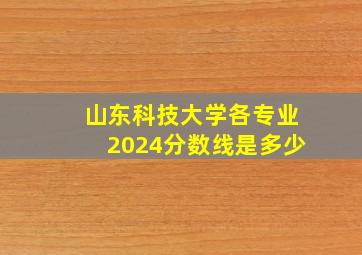 山东科技大学各专业2024分数线是多少