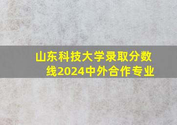 山东科技大学录取分数线2024中外合作专业