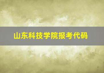 山东科技学院报考代码