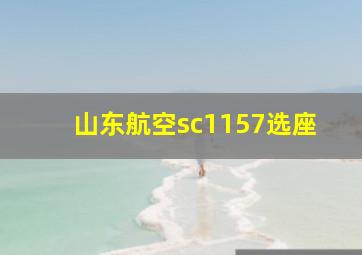 山东航空sc1157选座