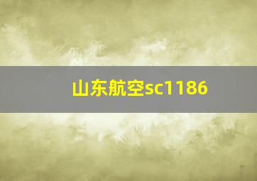 山东航空sc1186