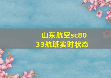 山东航空sc8033航班实时状态