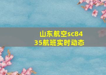 山东航空sc8435航班实时动态