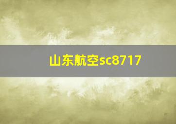 山东航空sc8717