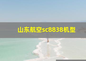 山东航空sc8838机型