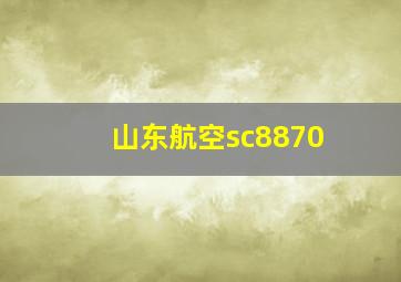 山东航空sc8870