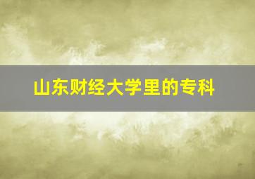 山东财经大学里的专科