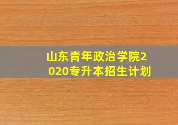 山东青年政治学院2020专升本招生计划