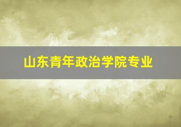 山东青年政治学院专业