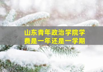 山东青年政治学院学费是一年还是一学期