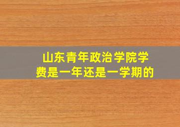 山东青年政治学院学费是一年还是一学期的