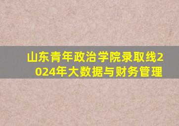 山东青年政治学院录取线2024年大数据与财务管理