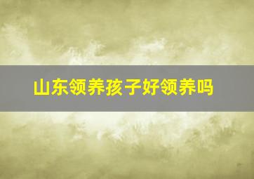 山东领养孩子好领养吗