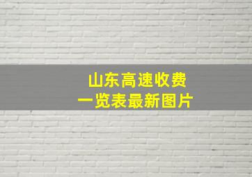 山东高速收费一览表最新图片