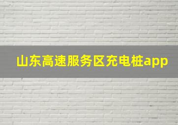 山东高速服务区充电桩app