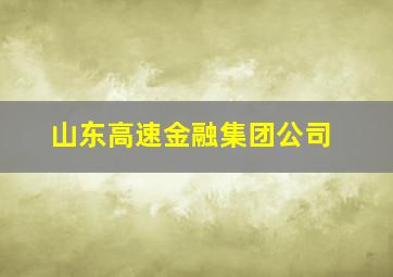 山东高速金融集团公司