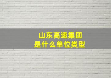 山东高速集团是什么单位类型