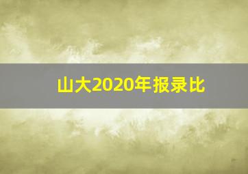 山大2020年报录比