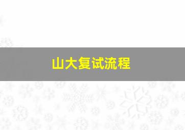 山大复试流程