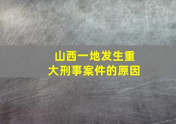 山西一地发生重大刑事案件的原因