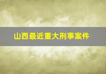 山西最近重大刑事案件