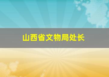 山西省文物局处长