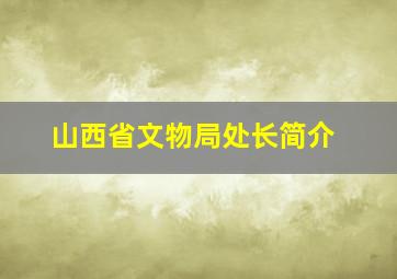 山西省文物局处长简介