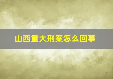 山西重大刑案怎么回事