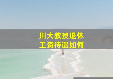 川大教授退休工资待遇如何