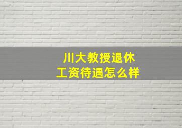 川大教授退休工资待遇怎么样