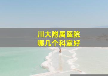 川大附属医院哪几个科室好