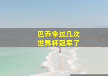 巴乔拿过几次世界杯冠军了