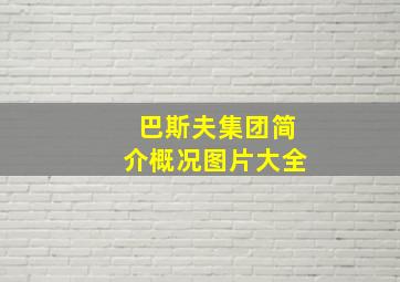 巴斯夫集团简介概况图片大全