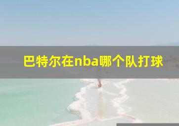 巴特尔在nba哪个队打球