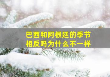 巴西和阿根廷的季节相反吗为什么不一样