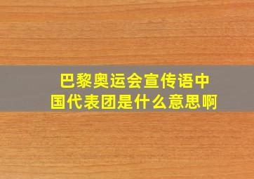 巴黎奥运会宣传语中国代表团是什么意思啊