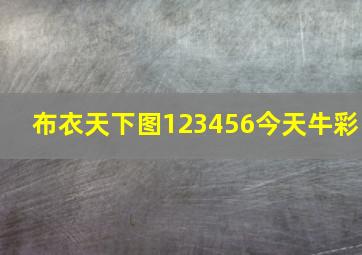 布衣天下图123456今天牛彩