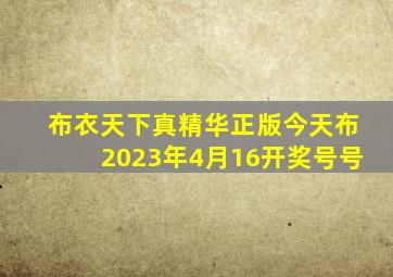 布衣天下真精华正版今天布2023年4月16开奖号号